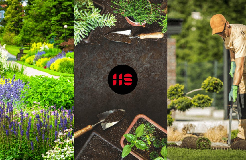 Jak vytvořit zahradu: Komplexní průvodce od plánování po výsadbu