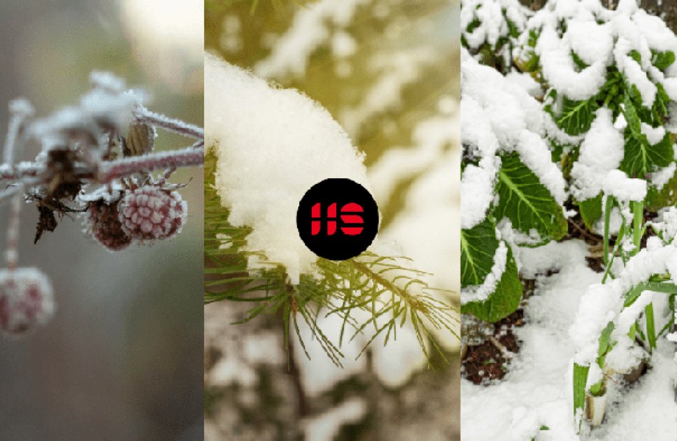 Jak zazimovat zahradu