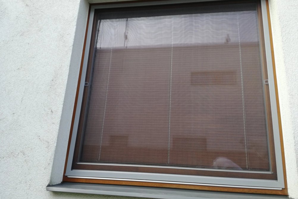 Síť proti hmyzu ve starším okně