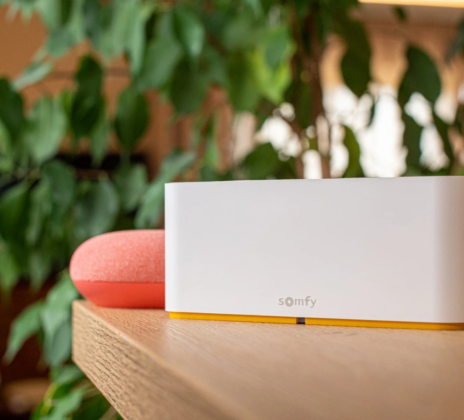 Switch pro ovládání chytré domácnosti