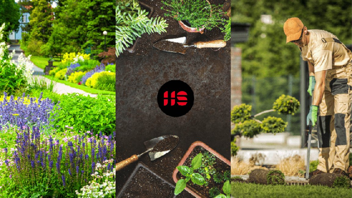 Jak vytvořit zahradu: Komplexní průvodce od plánování po výsadbu