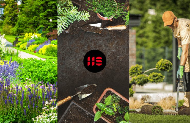 Jak vytvořit zahradu: Komplexní průvodce od plánování po výsadbu