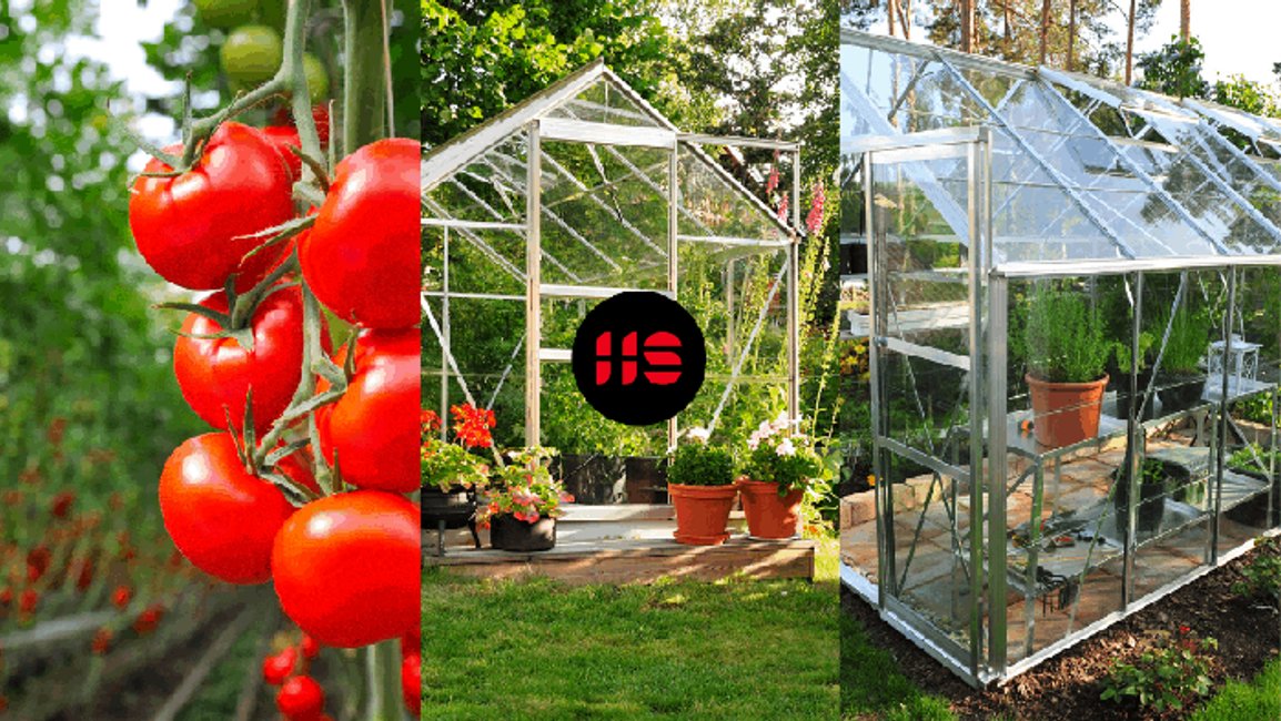 Jak zařídit skleník