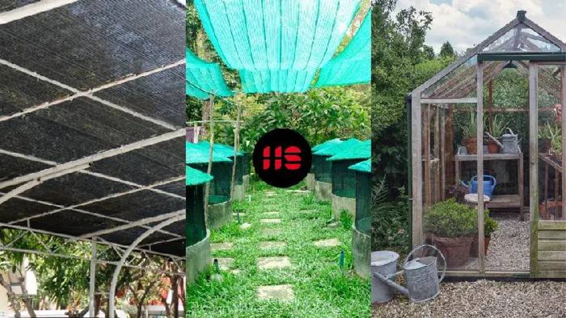 Jak efektivně zastínit skleník