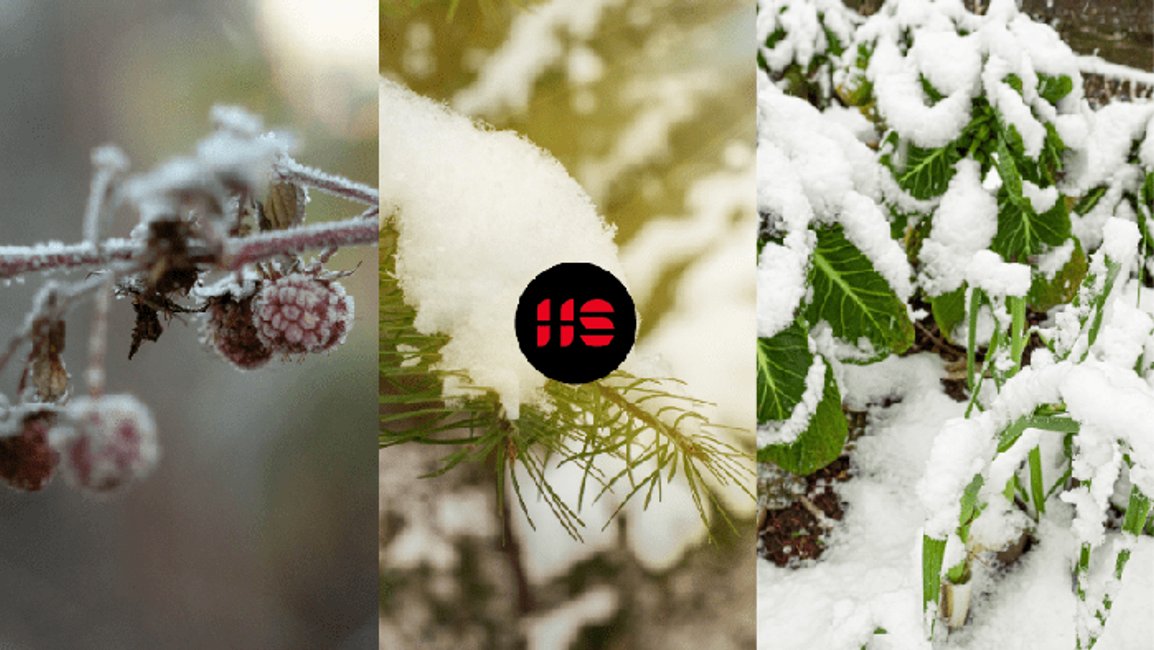 Jak zazimovat zahradu