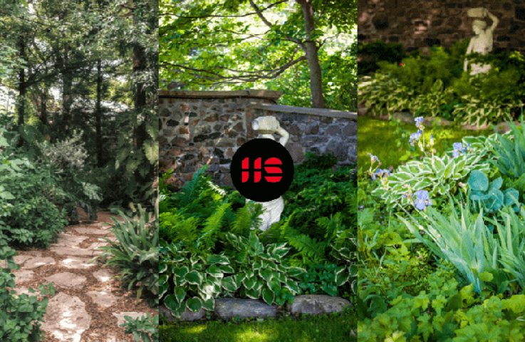 Jaké rostliny zasadit do stínu?